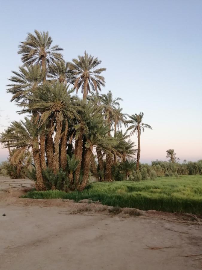 Gite Ait Lmaalam Chez Ahmed Skoura Zewnętrze zdjęcie